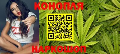 гидропоника Партизанск