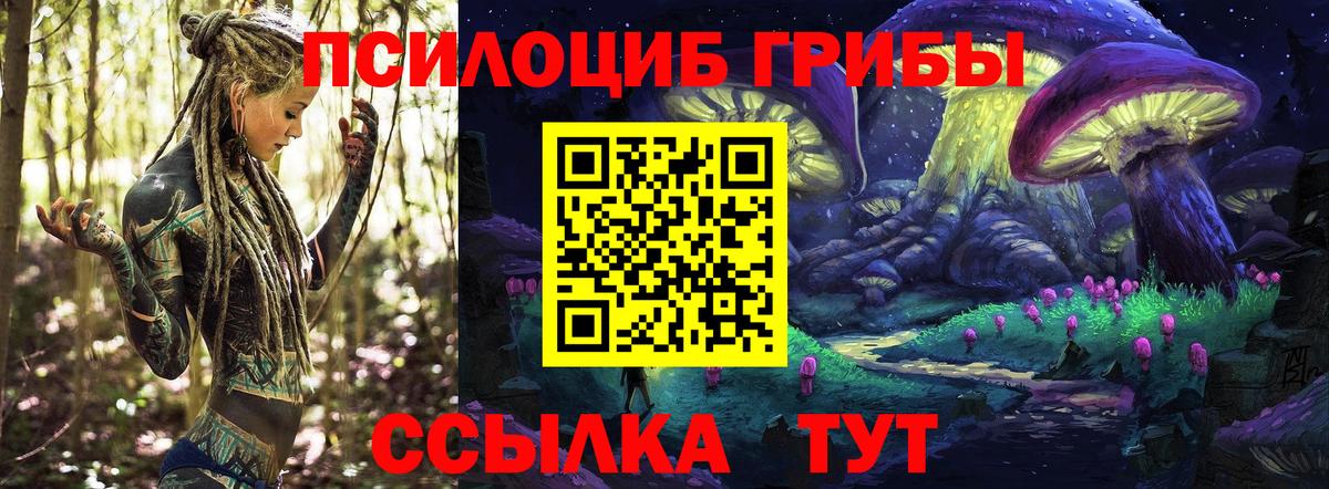 Псилоцибиновые грибы Magic Shrooms  Вход с VPN  Галлюциногенные грибы MAGIC MUSHROOMS  Ржев 
