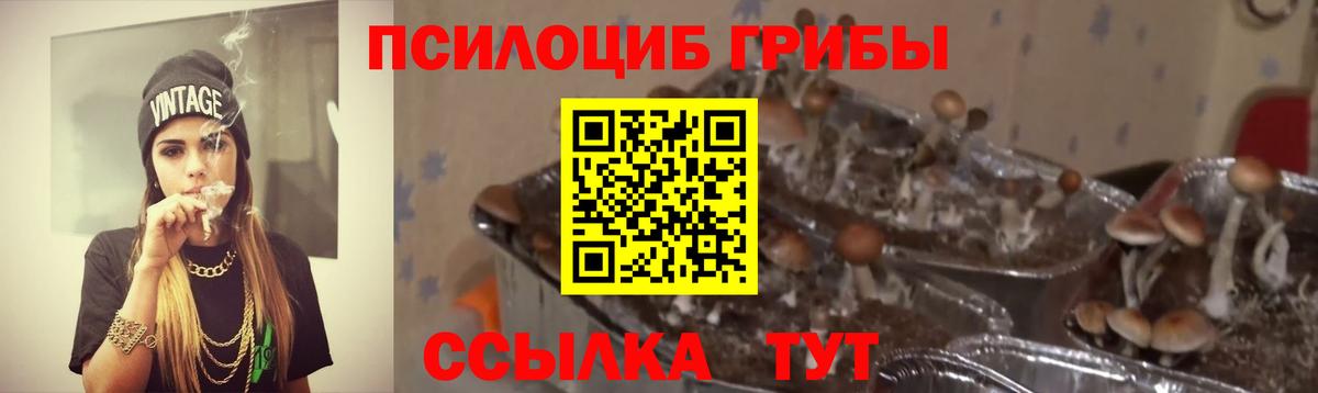 Галлюциногенные грибы прущие грибы Ржев